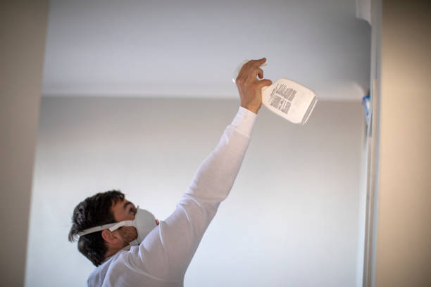 Best Commercial Mold Remediation in Eloy, AZ